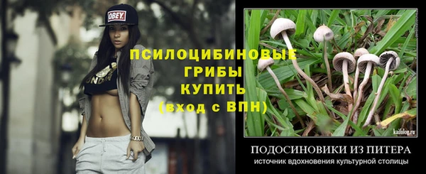 прущие крисы Бугульма