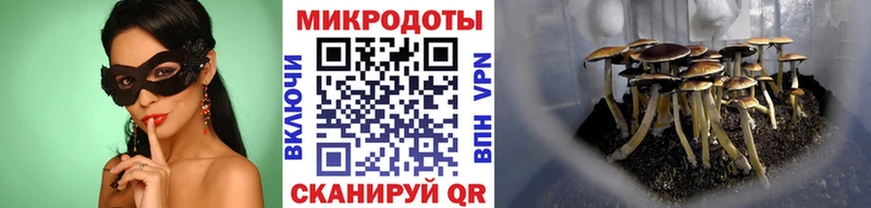 Псилоцибиновые грибы мухоморы  Старый Оскол 